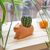Kikkerland - Cappy the Capybara Planter Small - 4.5 x 2.5 x 2.5 / Home and Kitchen Uncategorized (Home & Kitchen) Home & Kitchen