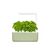Click and Grow- Smart Garden 3 Start kit (Color: Sage) (SGS13UNI) / Home and Kitchen Αταξινόμητα (Σπίτι & Κουζίνα) Σπίτι & Κουζίνα