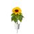 Click and Grow - Smart Garden Refill 3-pack - Mini sunflower, 100% pollen-free and easy to grow - Mini - Yellow / Home and Kitchen Uncategorized (Home & Kitchen) Home & Kitchen