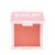 Kylie Cosmetics - Pressed Blush Powder - 335 Baddie On The Block / Beauty