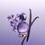 Viktor & Rolf Good Fortune - EDP - 90ml / Beauty