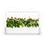 Click and Grow - Smart Garden 9 Starter kit (Color: White) (SG-015) / Home and Kitchen Διακόσμηση Σπίτι & Κουζίνα