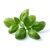 Click and Grow - Smart Garden Refill 3-pack - Basil (SGR3X3) / Home and Kitchen Διακόσμηση Σπίτι & Κουζίνα