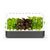 Click and Grow - Smart Garden 9 Starter kit (Color: Dark Gray) (SG9S8UNI) / Home and Kitchen Διακόσμηση Σπίτι & Κουζίνα