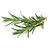 Click and Grow - Smart Garden Refill 3-pack - Rosemary (SGR51X3) / Home and Kitchen Διακόσμηση Σπίτι & Κουζίνα