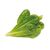 Click and Grow -  Smart Garden Refill 3-pack - Romaine Lettuce (SGR50X3) / Home and Kitchen Διακόσμηση Σπίτι & Κουζίνα