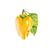 Click and Grow -  Smart Garden Refill 3-pack - Yellow Sweet Peppers (SGR53X3) / Home and Kitchen Indoor Garden Home & Kitchen