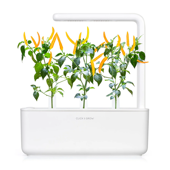 Click and Grow -- Smart Garden Refill 3-pack Yellow Chili Pepper / Home and Kitchen Indoor Garden Home & Kitchen