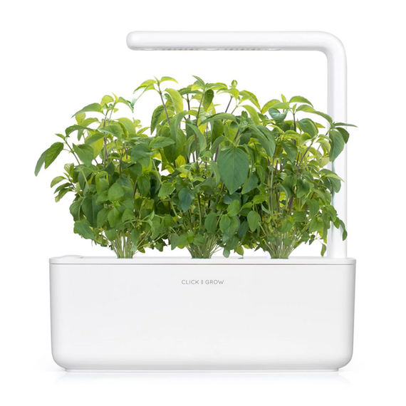 Click and Grow - Smart Garden Refill 3-pack Thai Basil / Home and Kitchen Indoor Garden Home & Kitchen