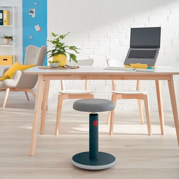 Leitz - Ergo Cozy Active sit-stand balance chair - Grey / Home and Kitchen Αταξινόμητα (Σπίτι & Κουζίνα) Σπίτι & Κουζίνα