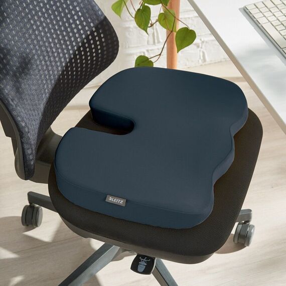 Leitz - Ergo Cozy seat cushion - Grey / Home and Kitchen Αταξινόμητα (Σπίτι & Κουζίνα) Σπίτι & Κουζίνα