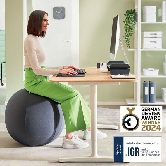 Leitz - Ergo Balance ball anti-roll-away 55cm - Dark grey / Home and Kitchen Uncategorized (Home & Kitchen) Home & Kitchen