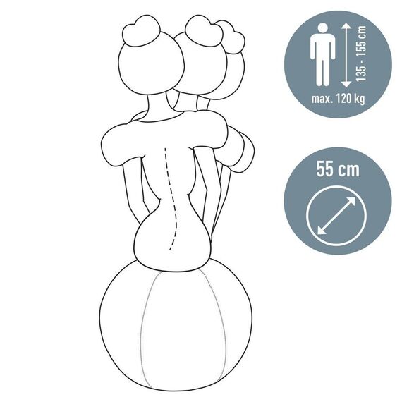 Leitz - Ergo Balance ball anti-roll-away 55cm - Dark grey / Home and Kitchen Uncategorized (Home & Kitchen) Home & Kitchen