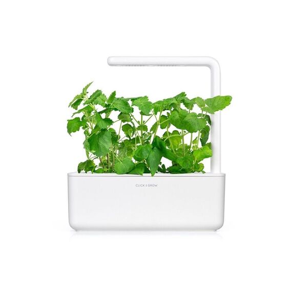 Click and Grow - Smart Garden Refill 3-pack - Catnip (SGR29X3) / Home and Kitchen Indoor Garden Home & Kitchen