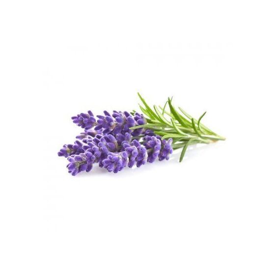 Click and Grow - Smart Garden Refill 3-pack - Lavender (SGR30X3) / Home and Kitchen Indoor Garden Home & Kitchen