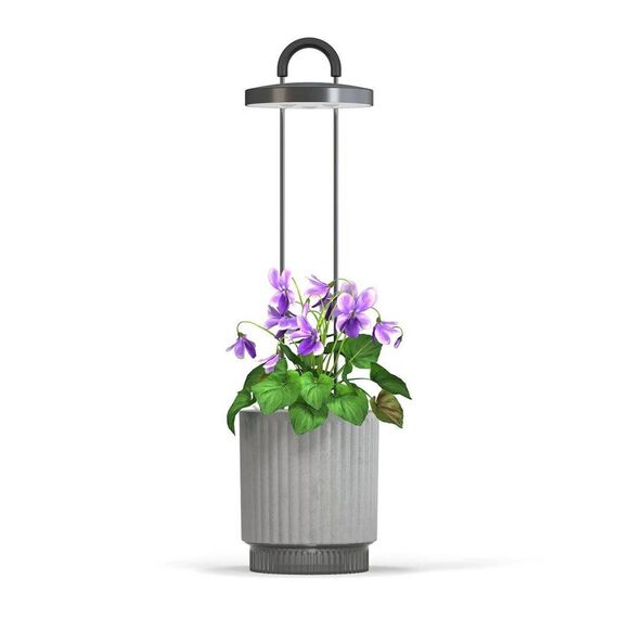 Click and Grow - HydroVase - Grey / Home and Kitchen Indoor Garden Home & Kitchen