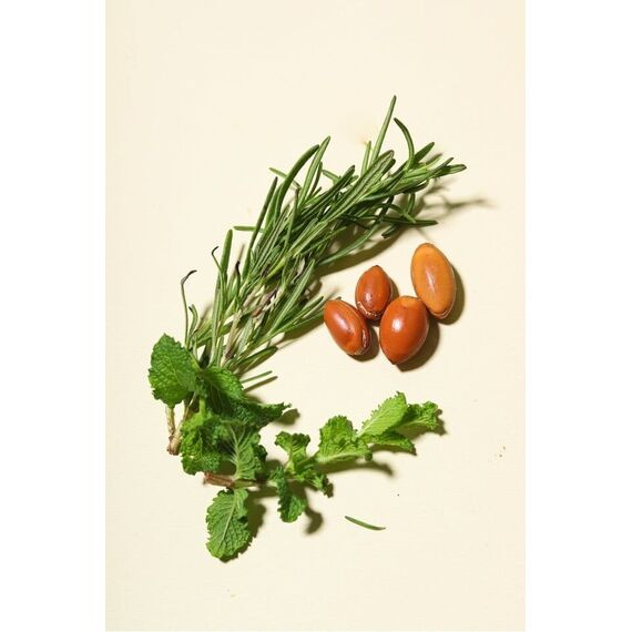 Arganmidas - Rosemary Mint Revitalizing Hair Oil - 100ml / Beauty Uncategorized (Beauty)