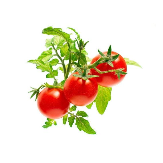 Click and Grow - Smart Garden Refill 3-pack - Mini Tomato (SGR5X3) / Home and Kitchen Uncategorized (Home & Kitchen) Home & Kitchen