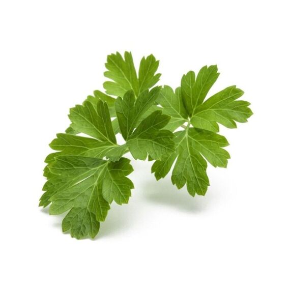Click and Grow - Smart Garden Refill 3-pack - Parsley (SGR13X3) / Home and Kitchen Αταξινόμητα (Σπίτι & Κουζίνα) Σπίτι & Κουζίνα