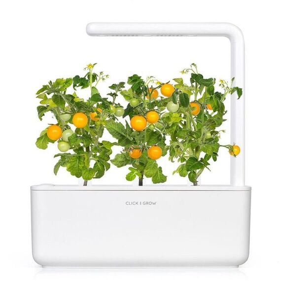 Click and Grow - Smart Garden Refill 3-pack Yellow Tomato / Home and Kitchen Uncategorized (Home & Kitchen) Home & Kitchen