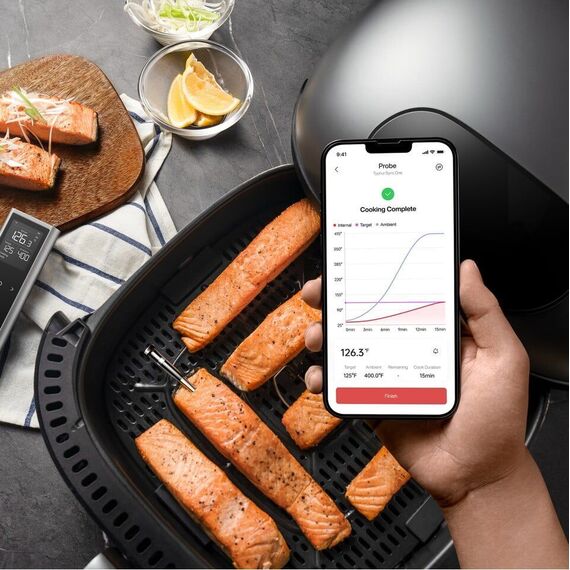 TYPHUR - Sync One Single Probe Smart Wireless Meat Thermometer - Bluetooth/WiFi Connection / Home and Kitchen Αταξινόμητα (Σπίτι & Κουζίνα) Σπίτι & Κουζίνα