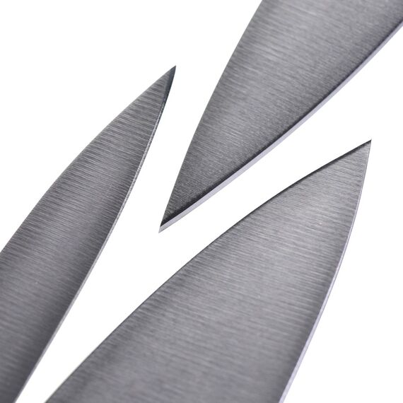 ZWILLING Set of knives Stainless steel Domestic knife Κουζίνα Σπίτι & Κουζίνα