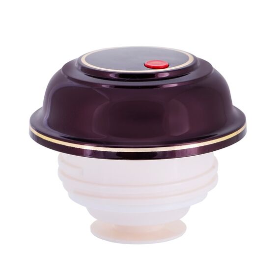 ROTPUNKT 330-16-04-0 vacuum flask 1 L Cherry (fruit) Κουζίνα Σπίτι & Κουζίνα