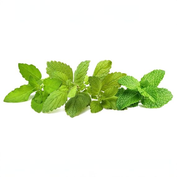 Click & Grow - Plant Pods 9-Pack – Calming Tea Mix / Home and Kitchen Αταξινόμητα (Σπίτι & Κουζίνα) Σπίτι & Κουζίνα