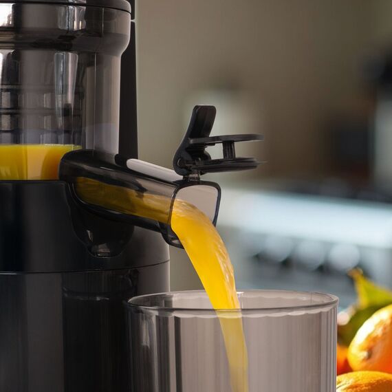 ELDOM PJ350 SLOW JUICER 250W