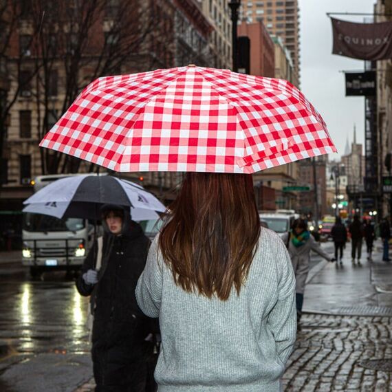 Kikkerland - New Baguette Umbrella - Red-and-White Gingham - 2.25 inches by 12 inches closed, 30.75 inches opened / Luggage and Travel Gear