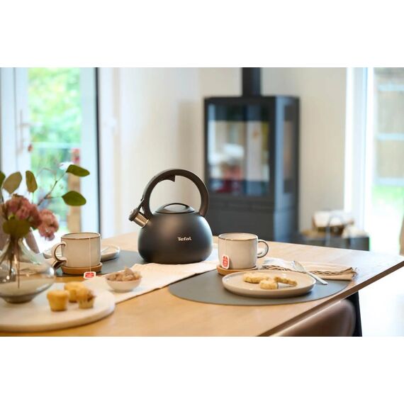 Non-Electric Kettle TEFAL N4180410, Black, Matte