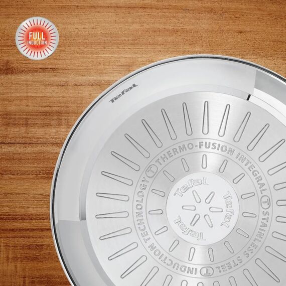 Set of 2 Frying Pans TEFAL Duetto On B866S234 24/28 cm
