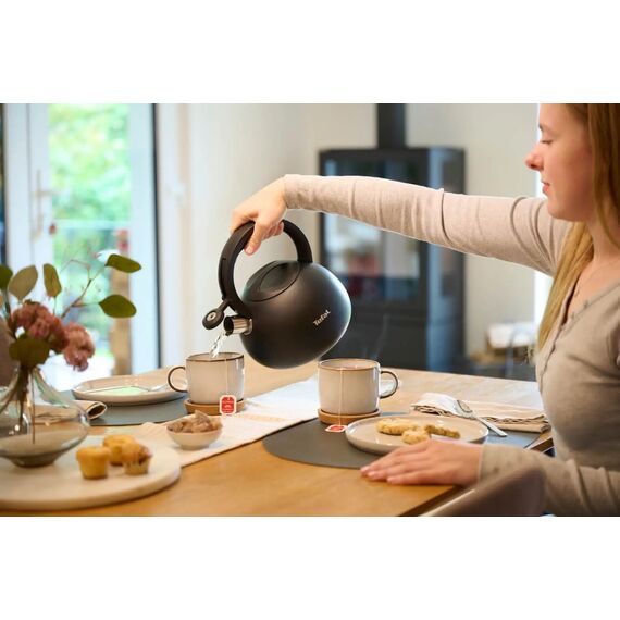 Non-Electric Kettle TEFAL N4180410, Black, Matte