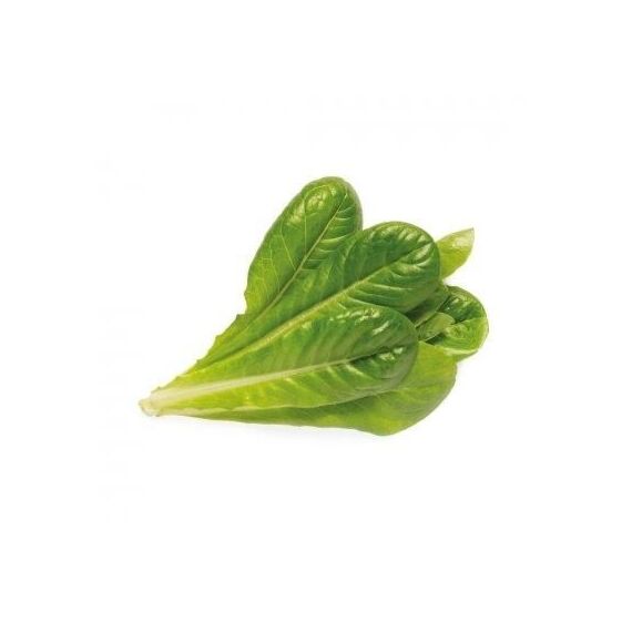 Click and Grow -  Smart Garden Refill 3-pack - Romaine Lettuce (SGR50X3) / Home and Kitchen Διακόσμηση Σπίτι & Κουζίνα