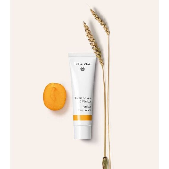 Dr. Hauschka - Apricot Day Creme 30 ml / Beauty Πρόσωπο Περιποίηση Προσώπου
