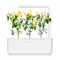 Click and Grow -- Smart Garden Refill 3-pack Yellow Chili Pepper / Home and Kitchen Indoor Garden Home & Kitchen