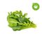 Click and Grow - Smart Garden Refill 9-pack Green Sallad Mix / Home and Kitchen Indoor Garden Home & Kitchen
