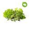 Click and Grow - Smart Garden Refill 9-pack Grill & Steak Mix / Home and Kitchen Indoor Garden Home & Kitchen