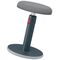 Leitz - Ergo Cozy Active sit-stand balance chair - Grey / Home and Kitchen Αταξινόμητα (Σπίτι & Κουζίνα) Σπίτι & Κουζίνα