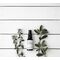 Evolve - Hyaluronic Serum 200 - 30 ml / Beauty Face Face Care