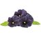 Click and Grow - Smart Garden Refill 3-pack Black Pansy / Home and Kitchen Indoor Garden Home & Kitchen