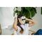 Beautifly - Light Therapy Mask Aura Gold / Beauty Wellness Personal Care