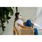 Beautifly - Light Therapy Mask Aura Gold / Beauty Wellness Personal Care