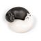 Kikkerland - Purrfect Salt & Pepper Shakers - Black and White - 8.25 cm x 3.75 cm x 6.5 cm / Home and Kitchen Kitchen Home & Kitchen