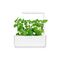 Click and Grow - Smart Garden Refill 3-pack - Catnip (SGR29X3) / Home and Kitchen Indoor Garden Home & Kitchen