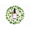 Evolve - Superfood 360 Serum 30 ml / Beauty Face Face Care
