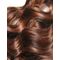 Arganmidas - Rosemary Mint Revitalizing Hair Oil - 100ml / Beauty Uncategorized (Beauty)