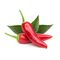 Click and Grow - Smart Garden Refill 3-pack - Chili Pepper (SGR6X3) / Home and Kitchen Uncategorized (Home & Kitchen) Home & Kitchen