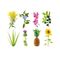 Click and Grow - Smart Garden Refill 3-pack - Experimental (SGR0X3) / Home and Kitchen Uncategorized (Home & Kitchen) Home & Kitchen