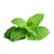 Click and Grow - Smart Garden Refill 3-pack - Peppermint (SGR22X3) / Home and Kitchen Uncategorized (Home & Kitchen) Home & Kitchen
